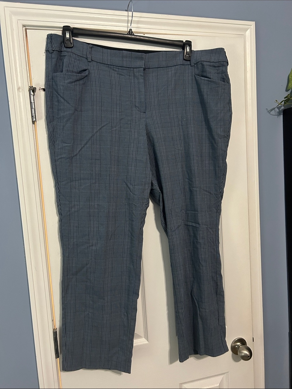 Lane Bryant  4 seasons Blue and Gray Plaid Pants